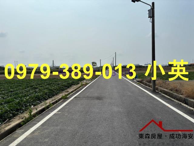 台南新市農地-8