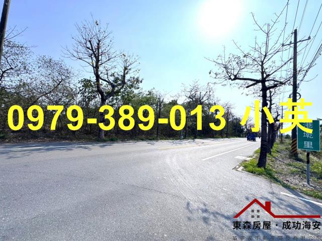 台南新市農地-12