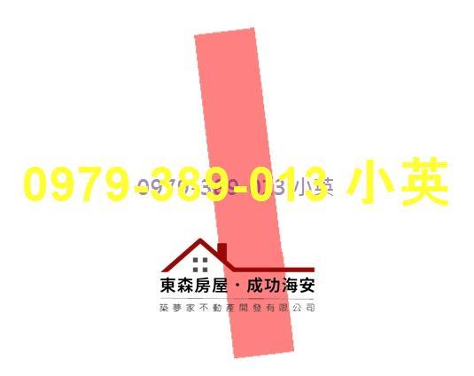 台南新市農地-5