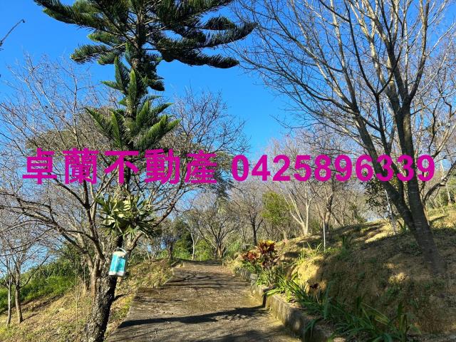 苗栗卓蘭農地-5