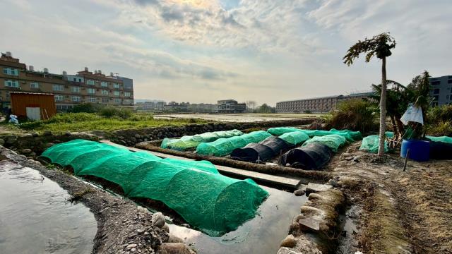 新竹芎林農地-6