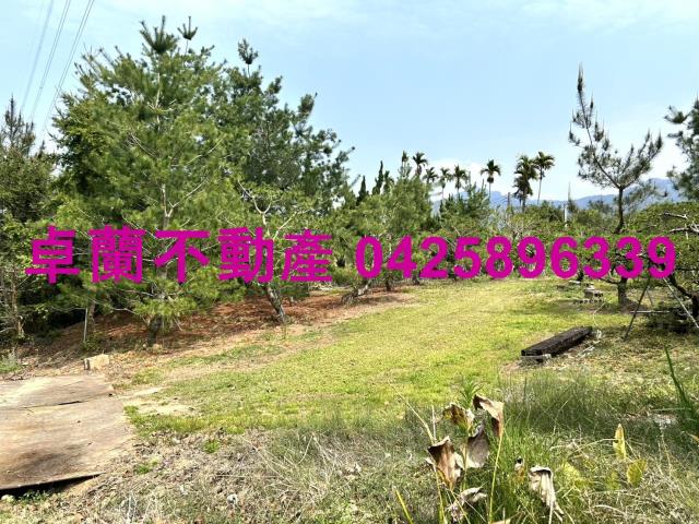 苗栗卓蘭農地-11