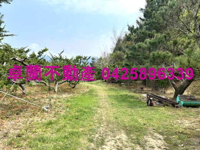 苗栗卓蘭農地-13