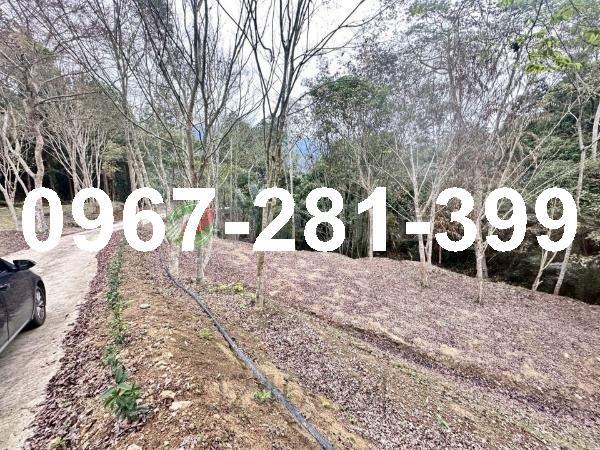 苗栗南庄農地-3