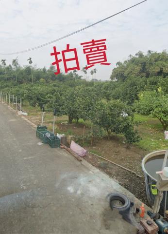 嘉義大林農地法拍-5