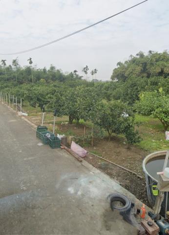 嘉義大林農地法拍-6