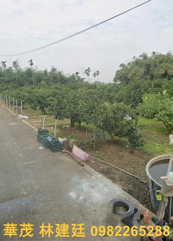 嘉義大林農地法拍-2