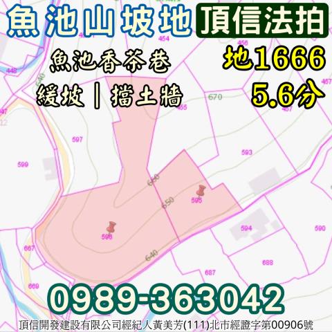 南投魚池法拍農地-5