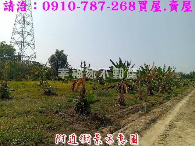 新市農地-7