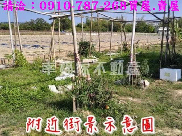 新市農地-8