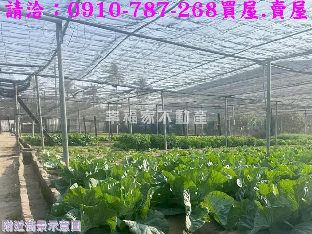 南區農地-9