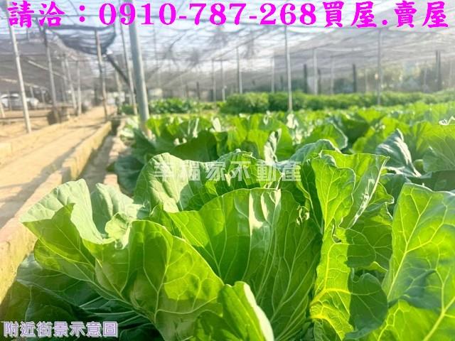 南區農地-10