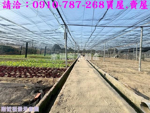 南區農地-12