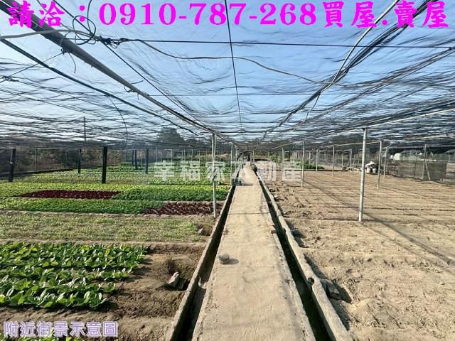 南區農地-4