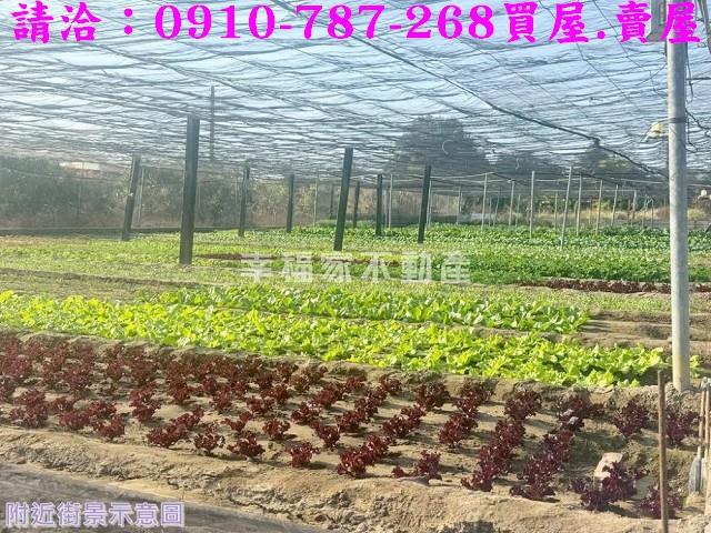 南區農地-6