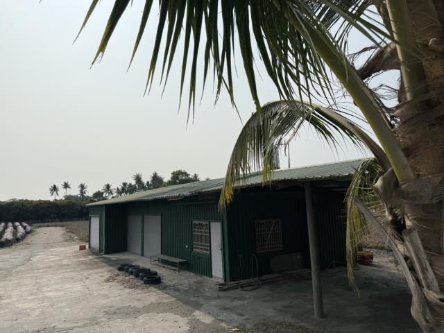 麟洛農地-3