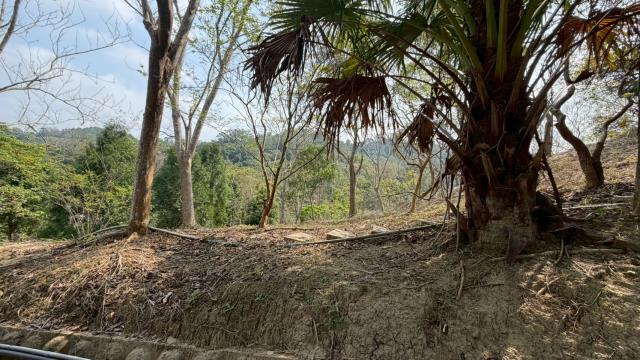 新竹北埔農地-9