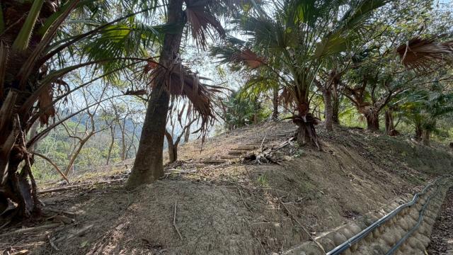 新竹北埔農地-10