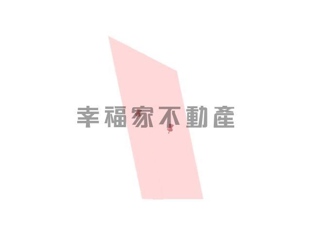 台南善化農地-14