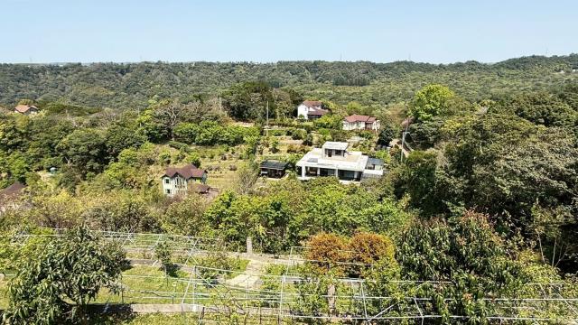 新竹關西農地-13