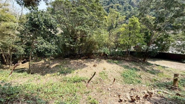 新竹關西農地-11