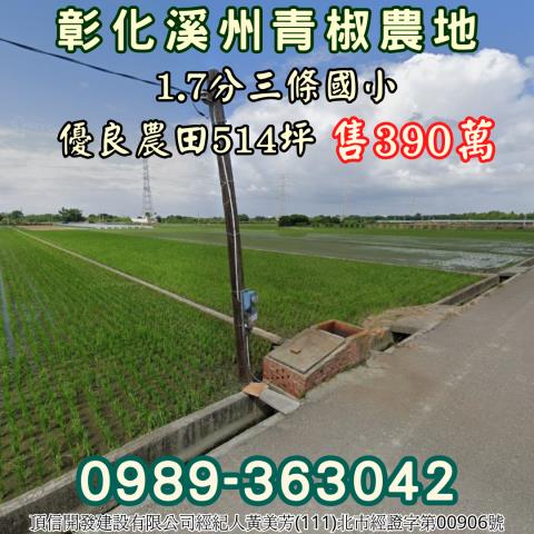 彰化大城西港國小28分農地