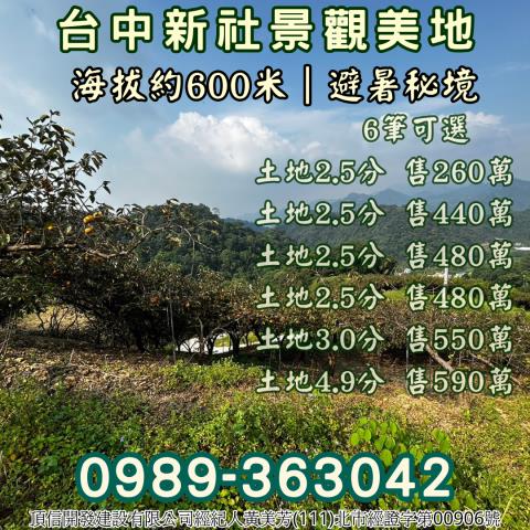 台中新社農地-11