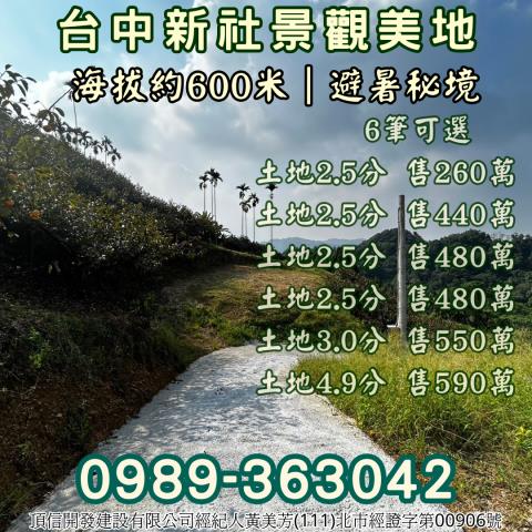 台中新社農地-7