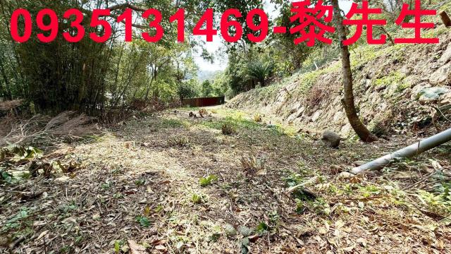 新竹農地新竹山坡地新竹休閒地新竹景觀地小坪數農地露