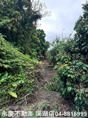 永靖農地-3