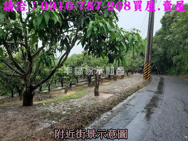 大內農地-9