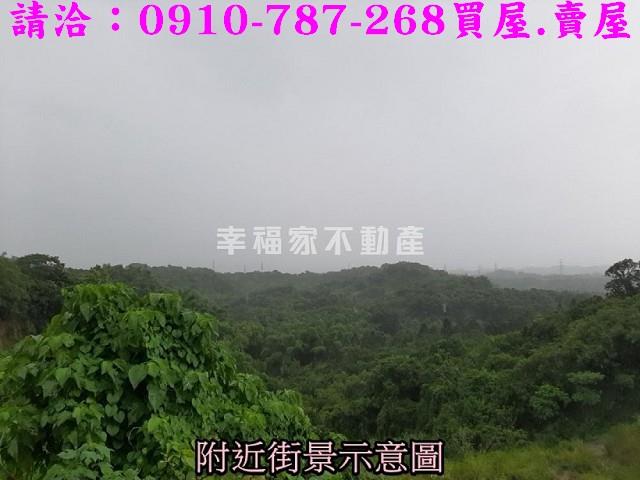 大內農地-7