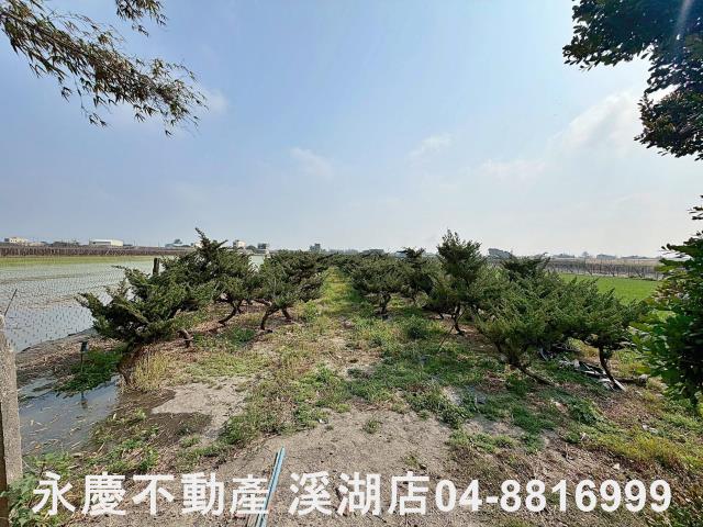 二林農地-3