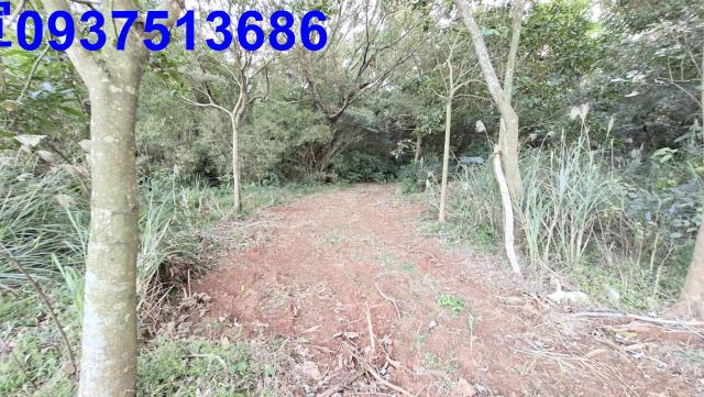 新北林口農地-8