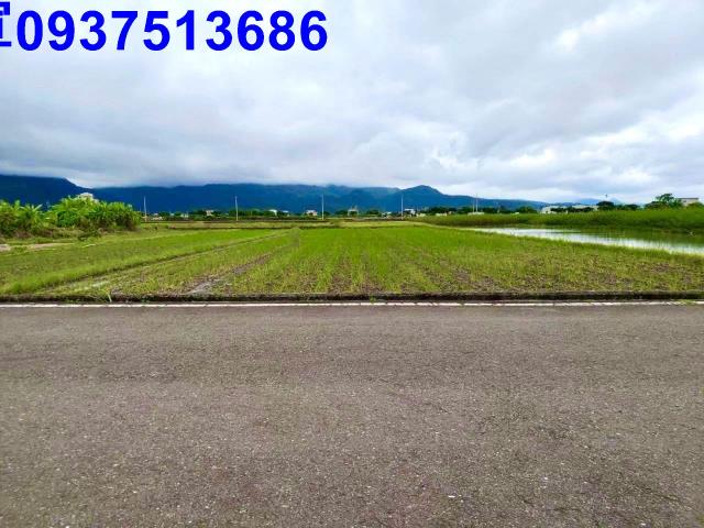 宜蘭三星農地-0