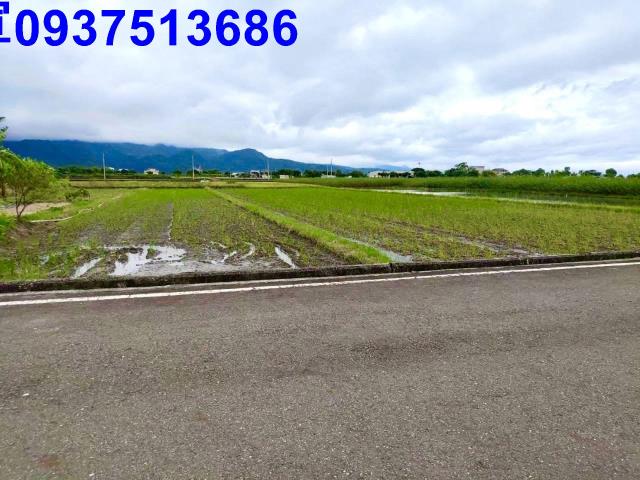 宜蘭三星農地-7