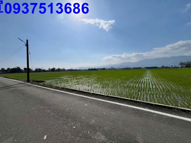 宜蘭礁溪農地-9