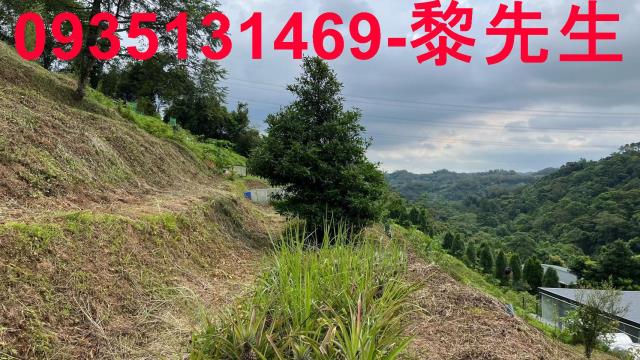 新竹北埔農地-5