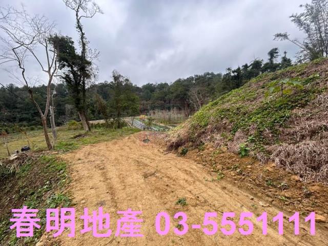 新竹橫山農地-10