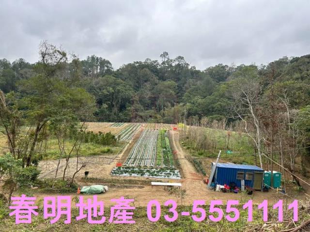 新竹橫山農地-11