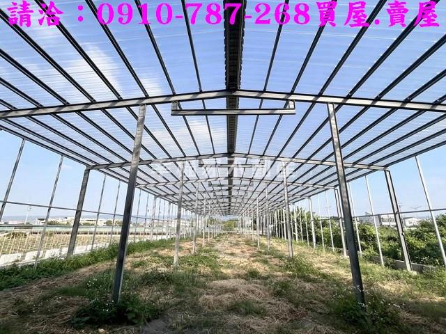 彰化社頭農地-9