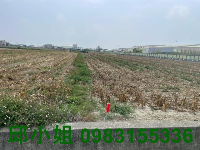 嘉義湖子內阿魯米嘉義建地農地台灣房屋湖子內特許加盟店富鑫團隊