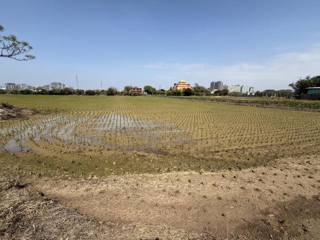 桃園新屋農地-0