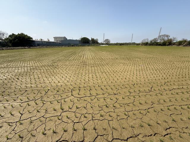 桃園新屋農地-4