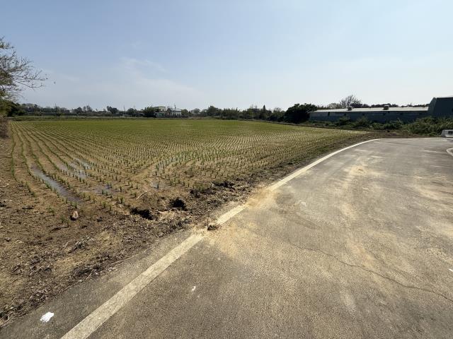 桃園新屋農地-6