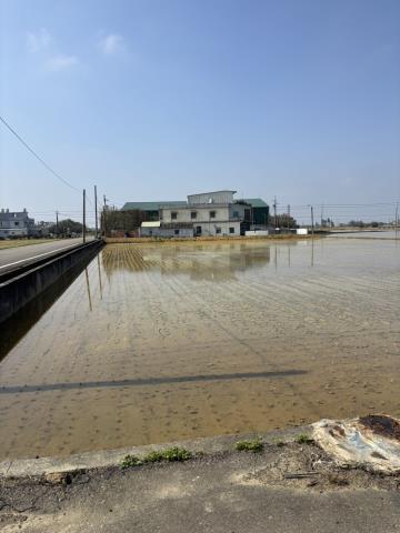 桃園新屋農地-1