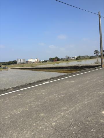 桃園新屋農地-4