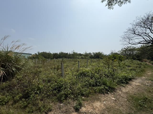 桃園八德農地-3