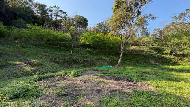 新竹北埔農地-13