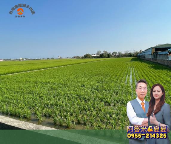 嘉義新港農地-5